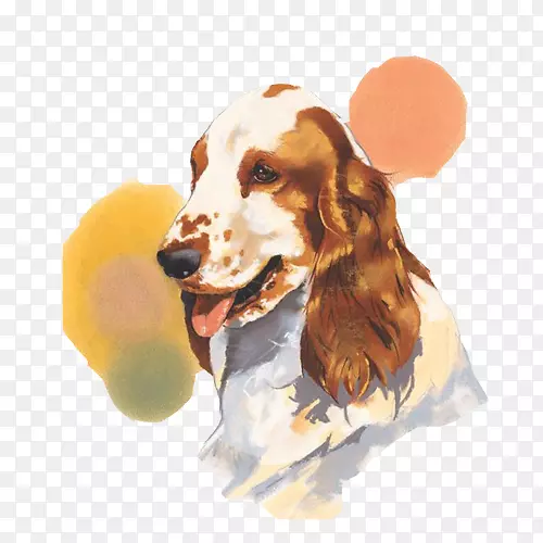 苏格兰犬手绘画素材图片