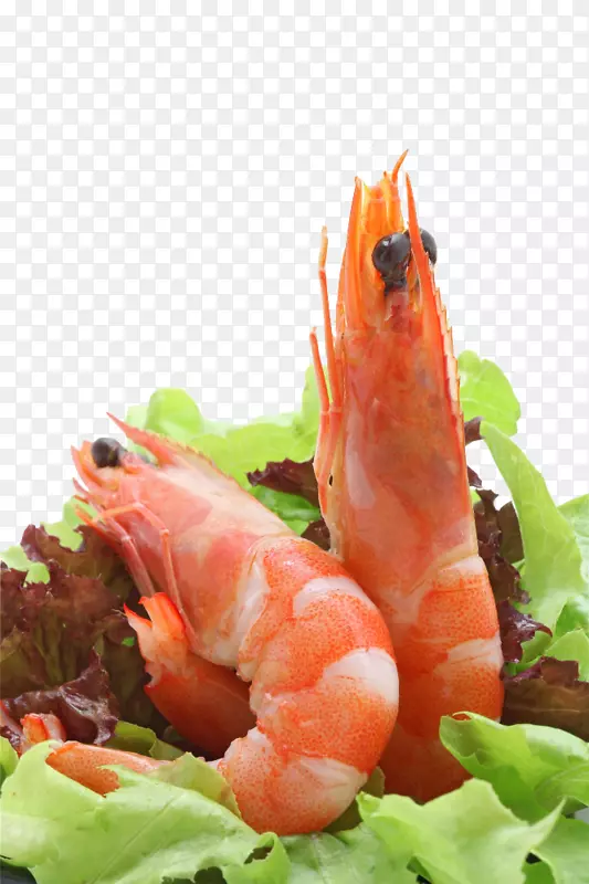 简单素色美食红虾仁免抠图