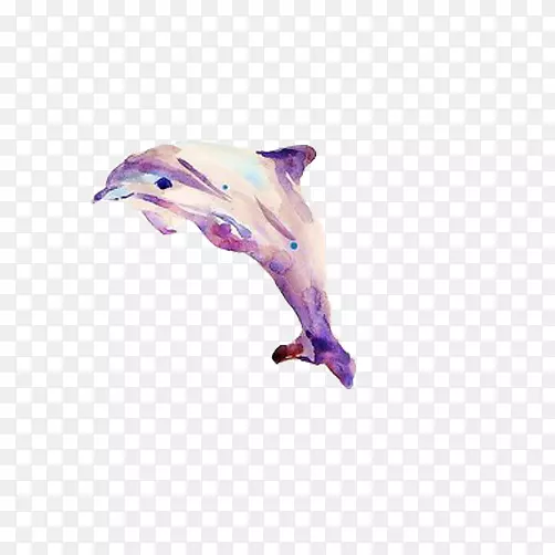 海豚彩绘图素材图片