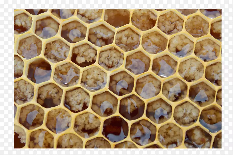 养蜂人的蜂巢