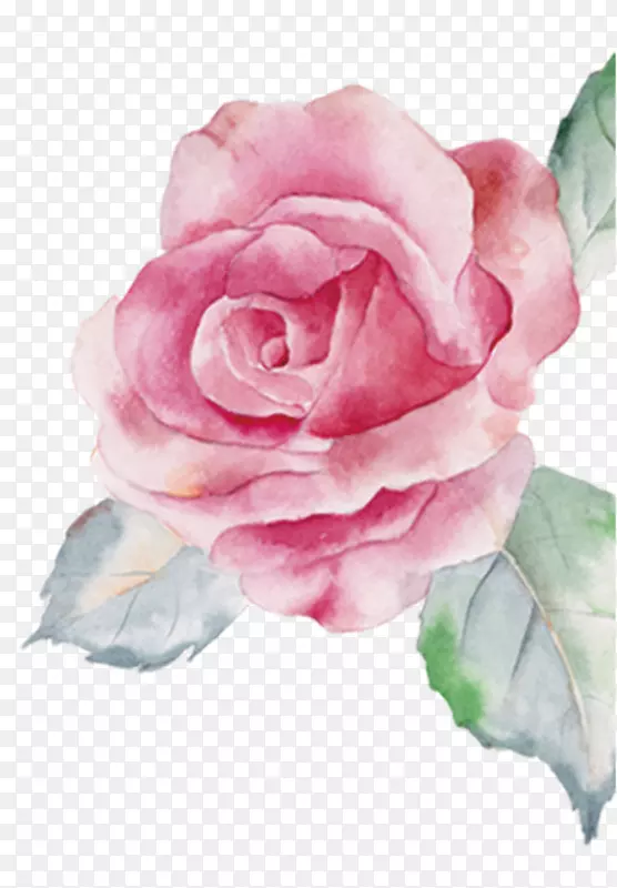 粉红色手绘玫瑰花装饰图案