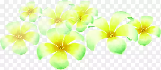春天手绘黄绿色漂浮花朵