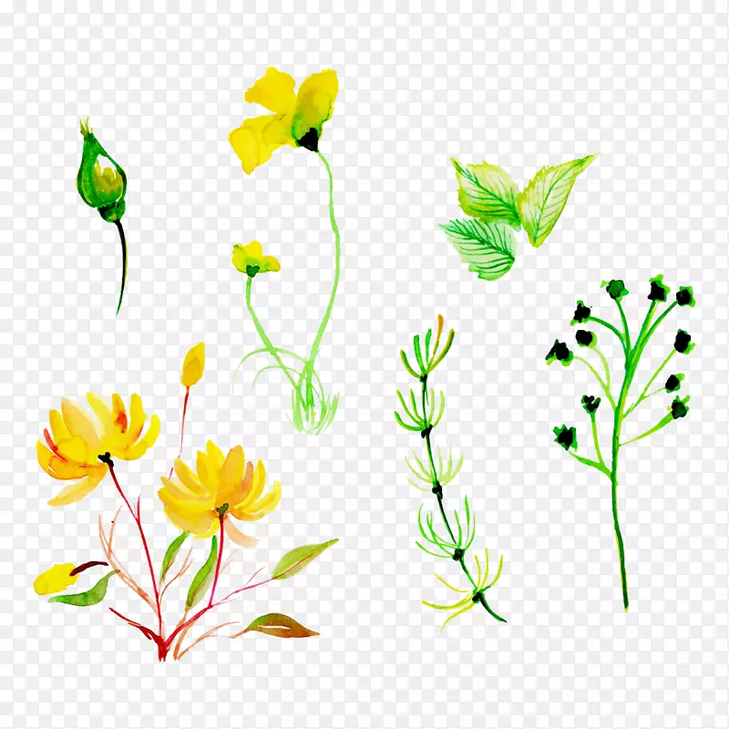 春天黄绿色植物手绘