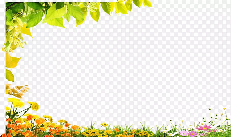 黄绿色树叶花朵风景装饰