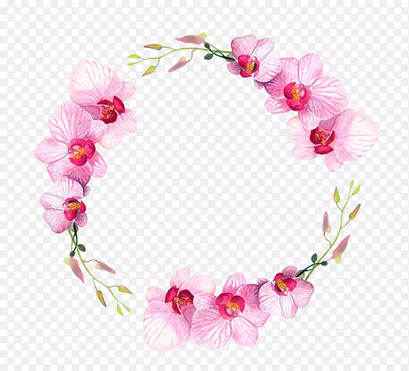 手绘花草蝴蝶兰花环