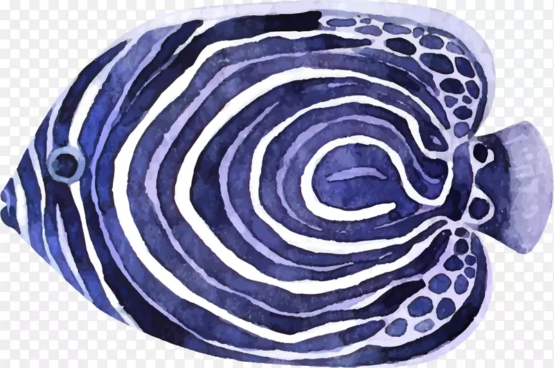 海洋生物螺旋条纹小鱼