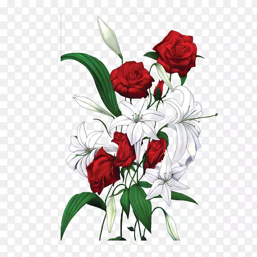 红白玫瑰花图片
