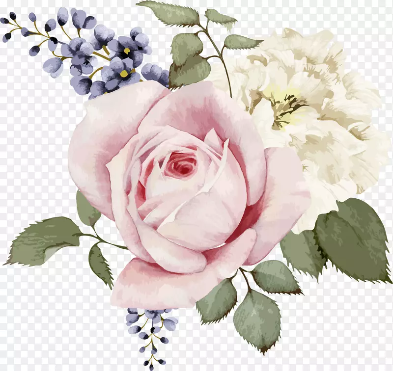 粉玫瑰和白玫瑰水彩手绘花