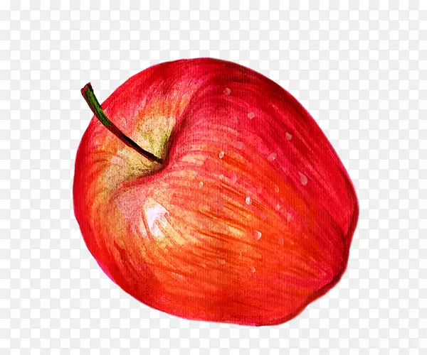 水彩手绘美味的苹果