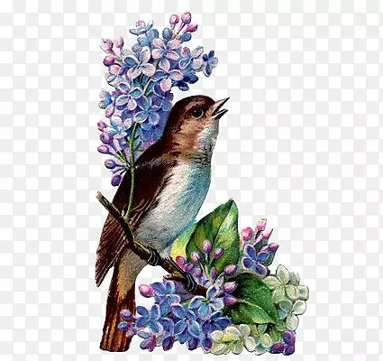 复古动物插画