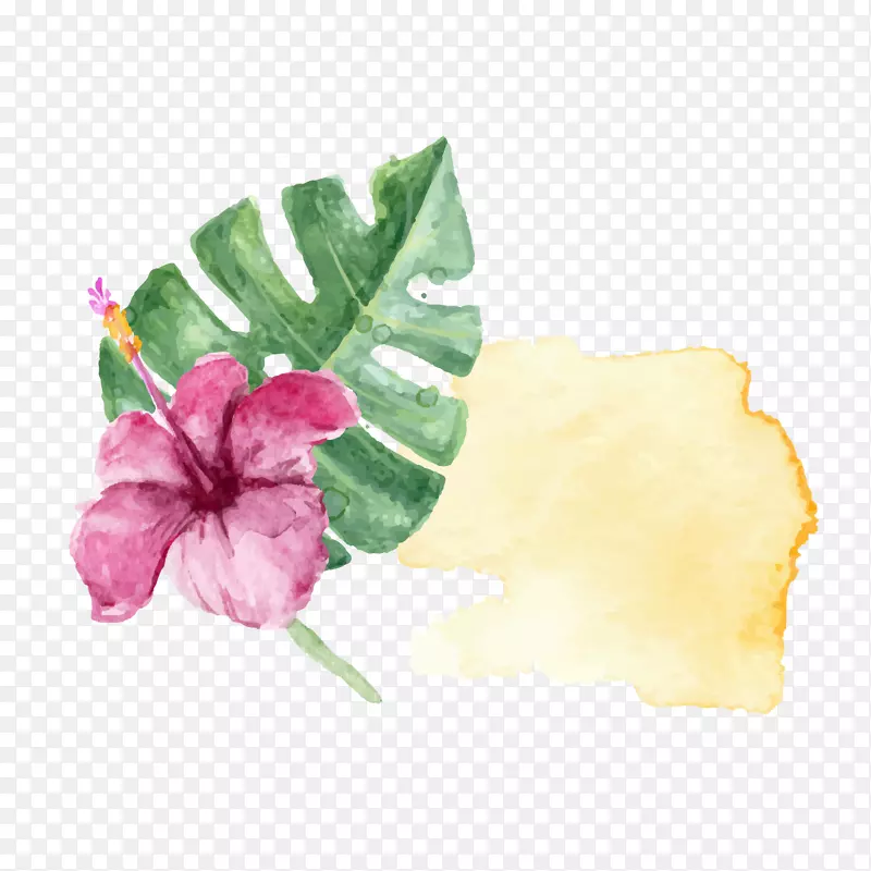 水彩绘叶子花卉植物