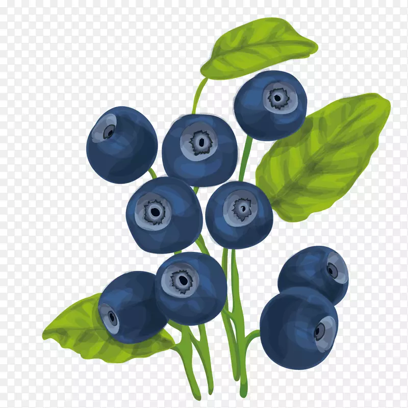矢量蓝莓