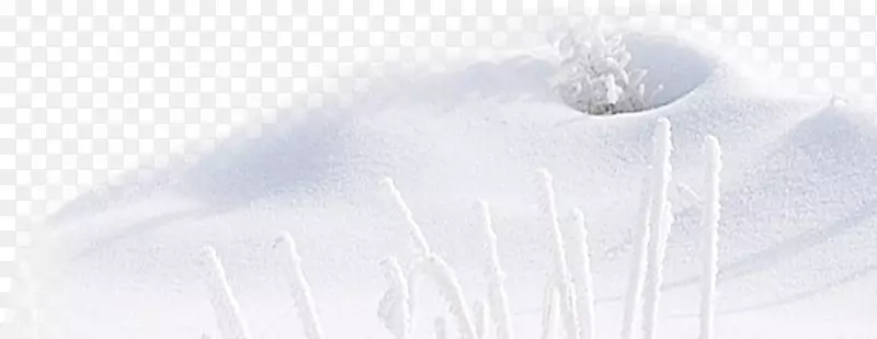雪地浪漫冬季图片