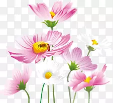春天清新手绘粉白色花朵