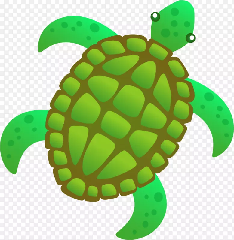 海洋生物绿色海龟