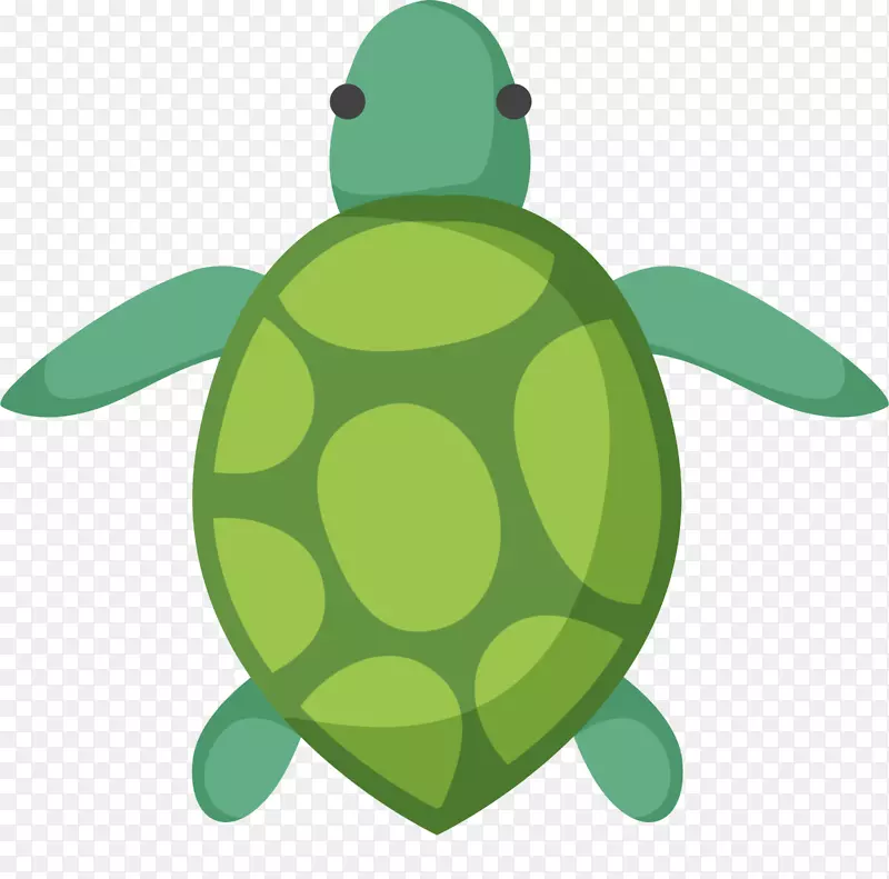 世界海洋日绿色海龟