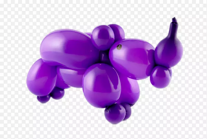 紫色气球狗