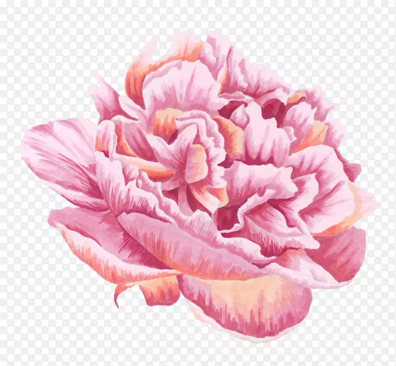 立体手绘粉红色鲜花