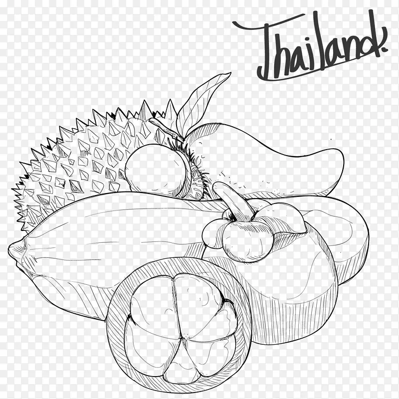 泰国水果线稿手绘