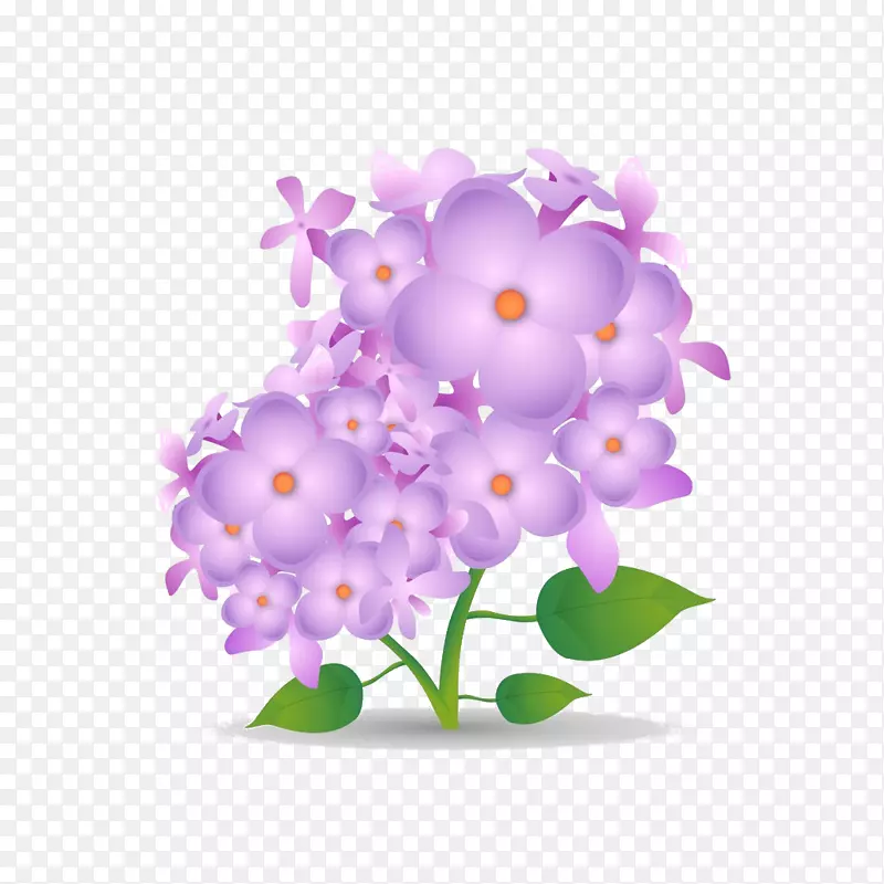 手绘紫丁香花卉插画免抠