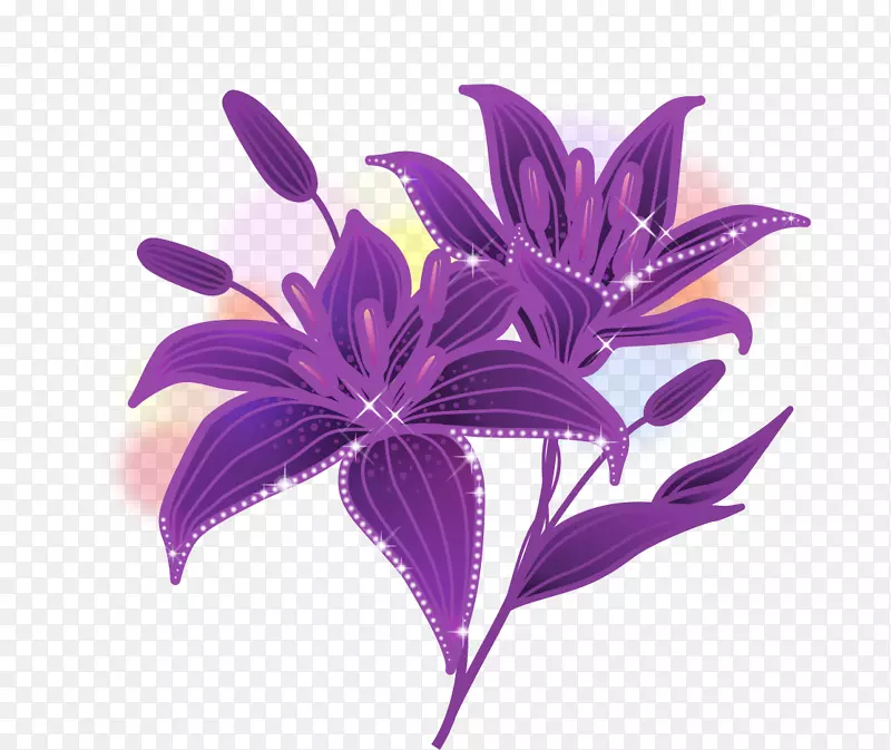 紫色唯美百合花