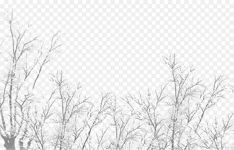 冰天雪地灰色大树