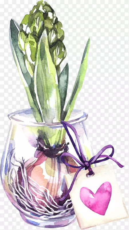 手绘水彩一盆植物