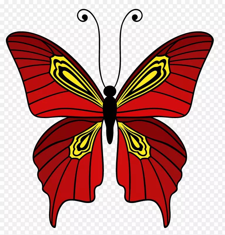 手绘红色美丽蝴蝶