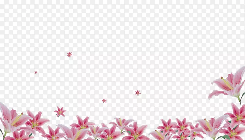 百合花丛