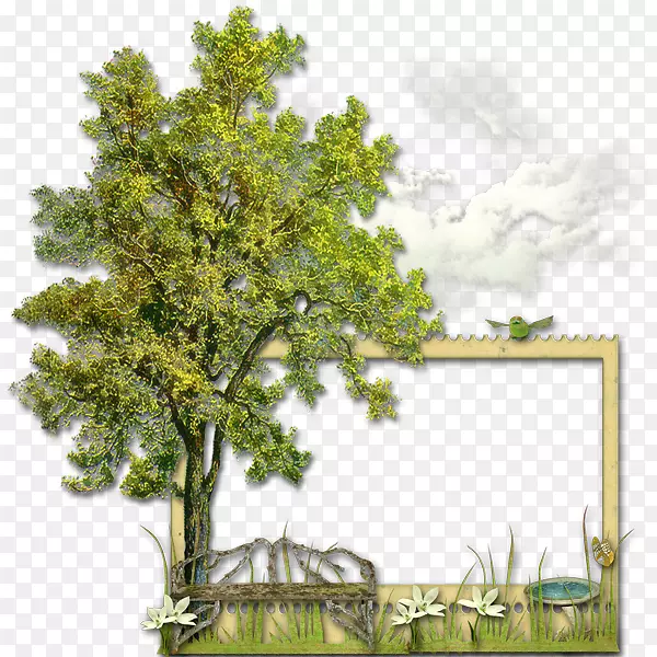 大树装饰图案边框图片素材