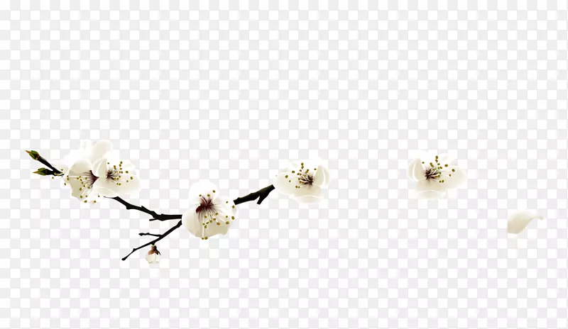白色中国风花枝装饰图案