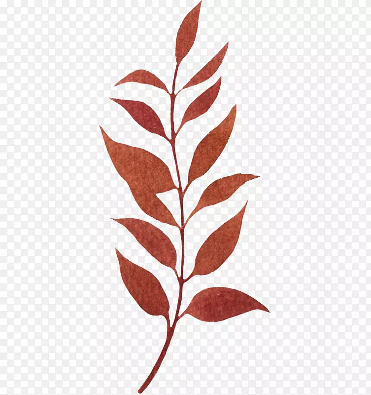 红色手绘的树叶子