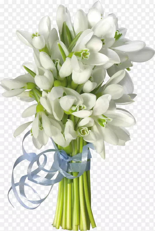 白色花朵一簇白花