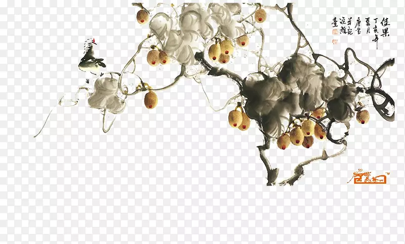 猕猴桃树素材图片