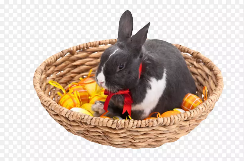 棕色轻便装着一个黑色兔子的篮子