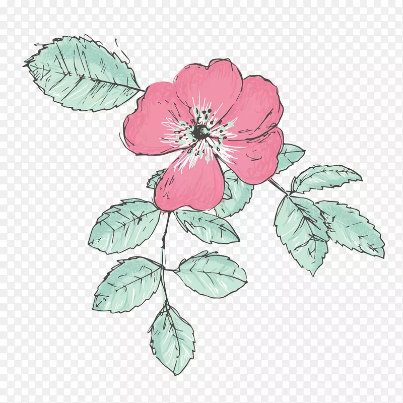 粉红色花朵唯美手绘