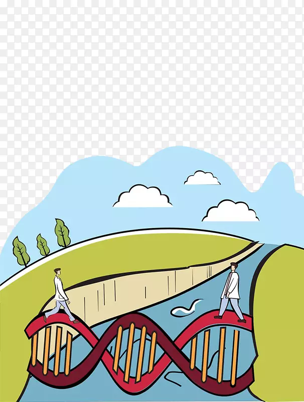 DNA桥梁插图