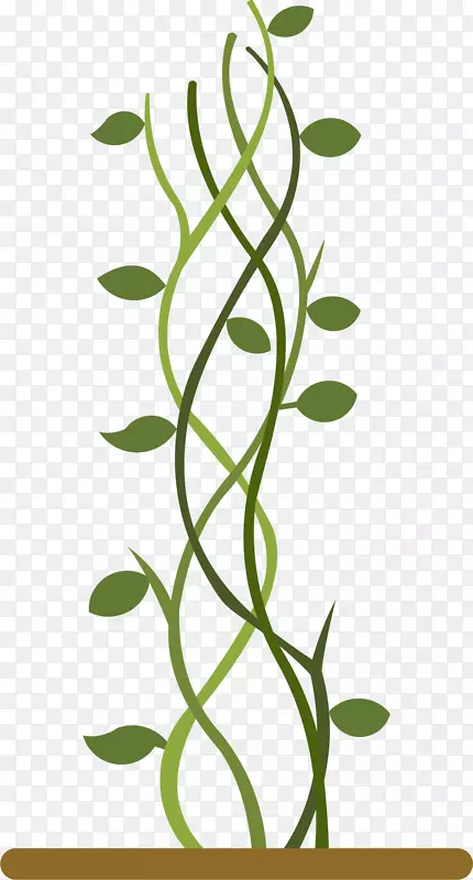 茂盛矢量绿色豆茎