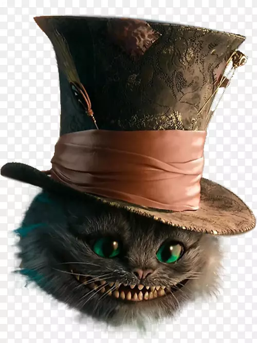 戴帽子的猫