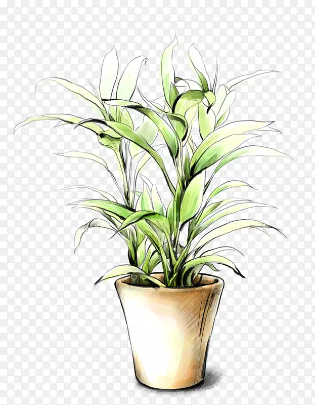 手绘植物PNG图片素材下载_图片编号7516643-PNG素材网