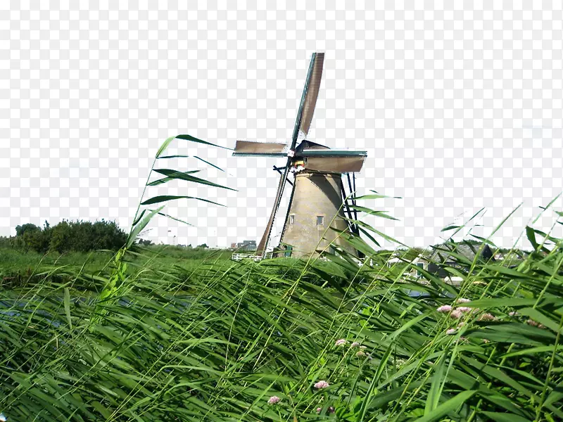 荷兰风车风景图片