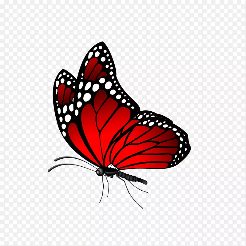 卡通红色的蝴蝶设计