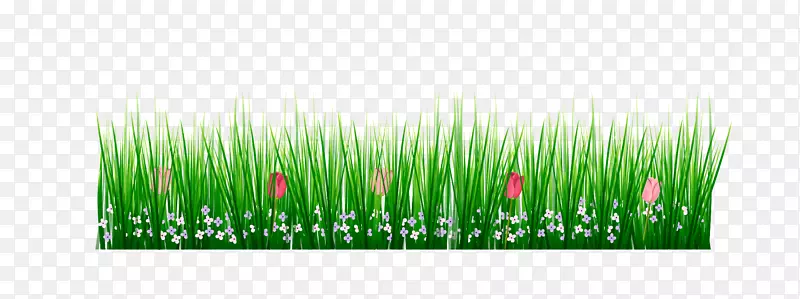 矢量绿色春季小草边框底纹元素