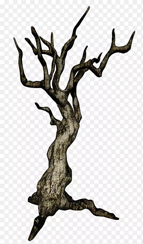 木头树枝