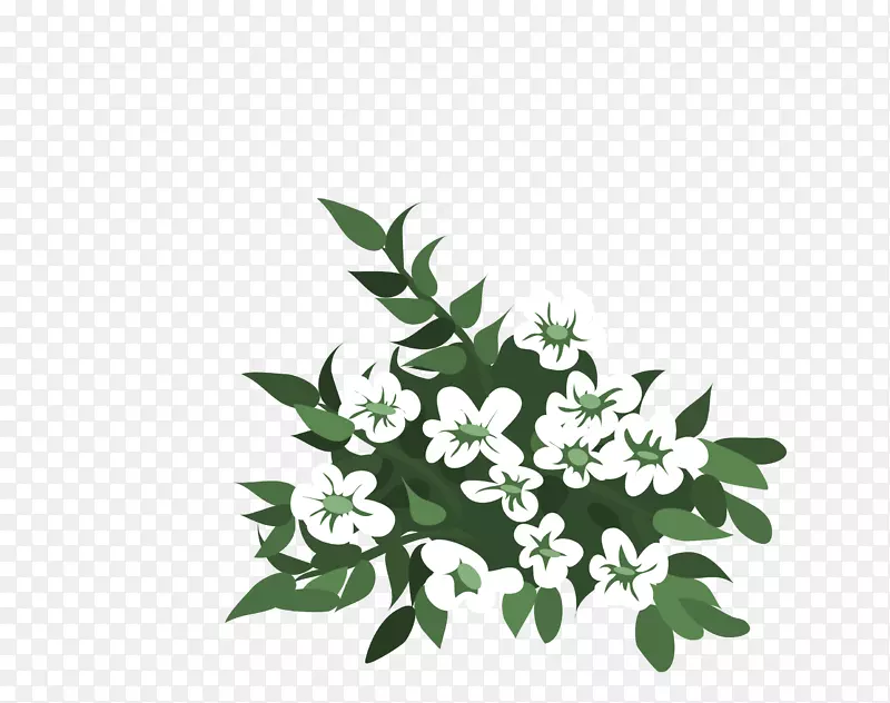 绿叶和白色小花简图