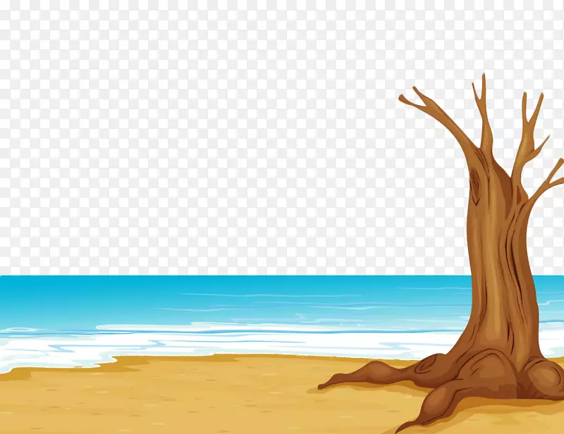 海边沙滩上的枯树根