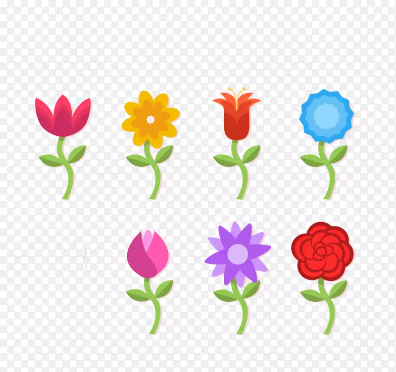 五颜六色的花朵