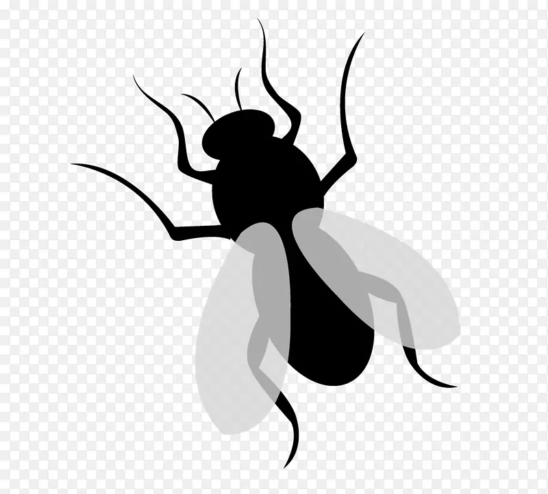 黑色手绘的苍蝇设计