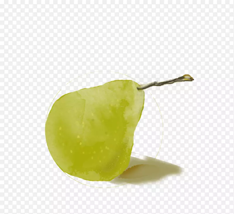 手绘梨子