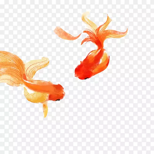金鱼水墨画素材图片